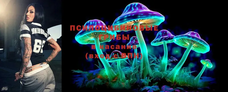 Псилоцибиновые грибы Magic Shrooms  Слюдянка 